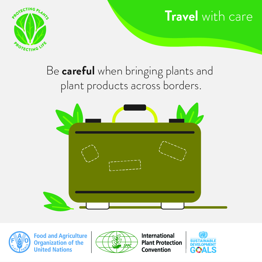 International Day of Plant Health